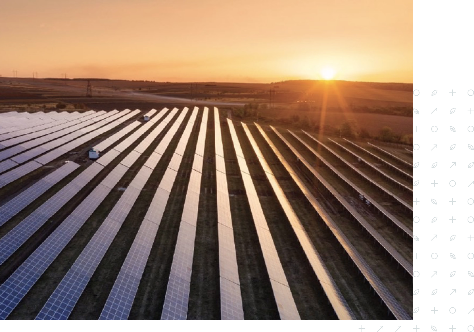 Rows of solar panels stretching across a field at sunset with the sun low on the horizon.