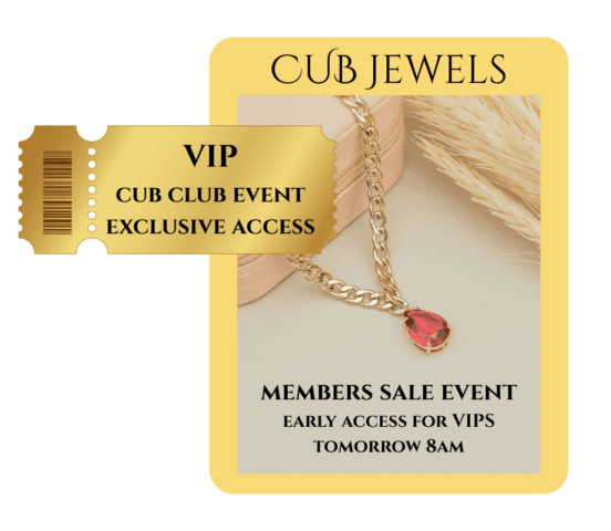 LoyaltyLion experiential rewards