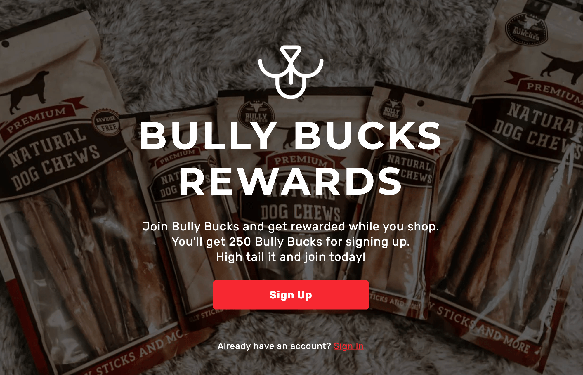 Bully Bunches program