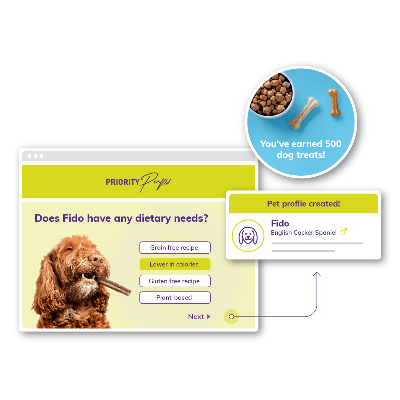 Using a loyalty program to collect zero-party data