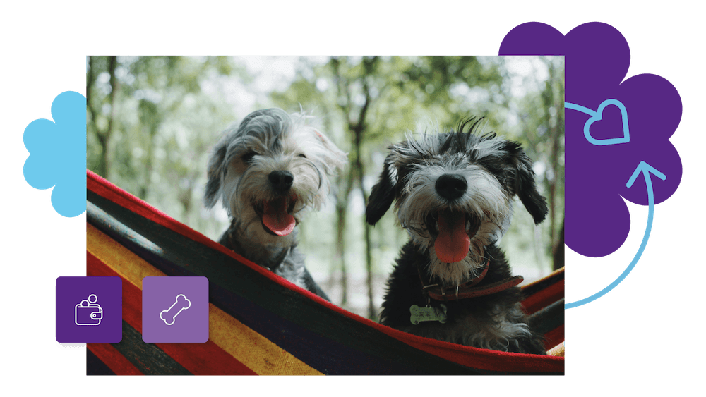 Loyalty for pet brands