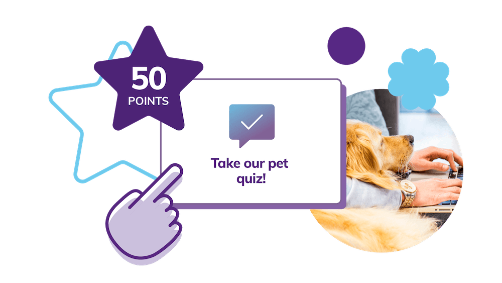 Pet care loyalty program example