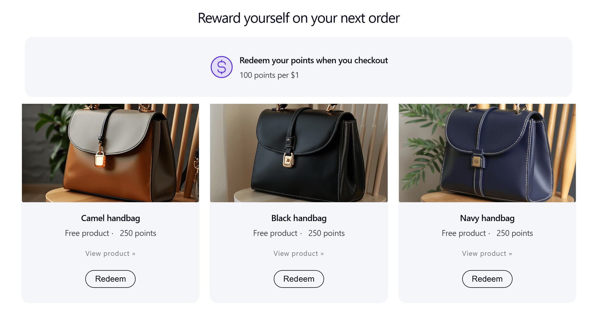 Customer-facing loyalty tour