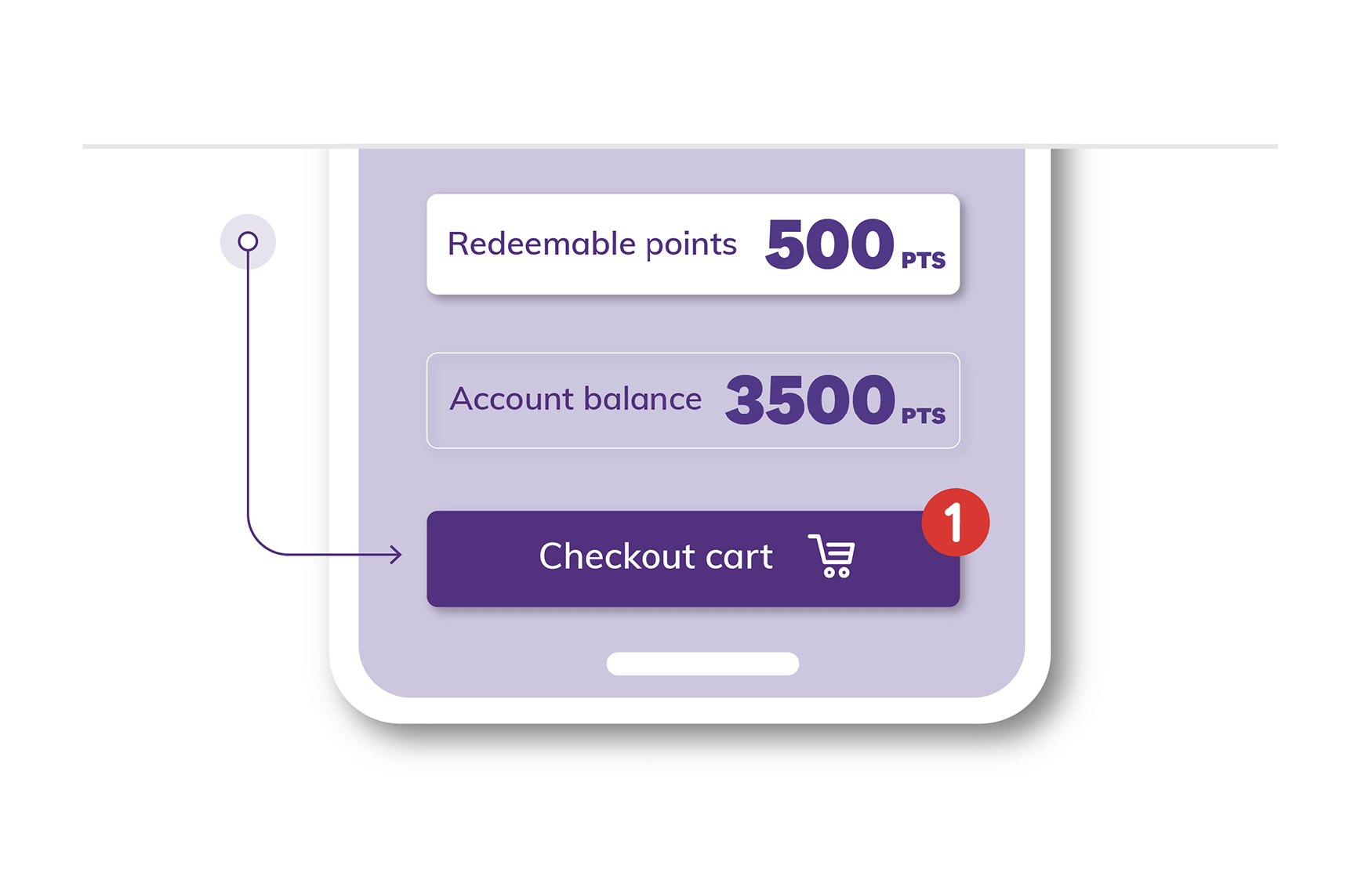 Points at checkout