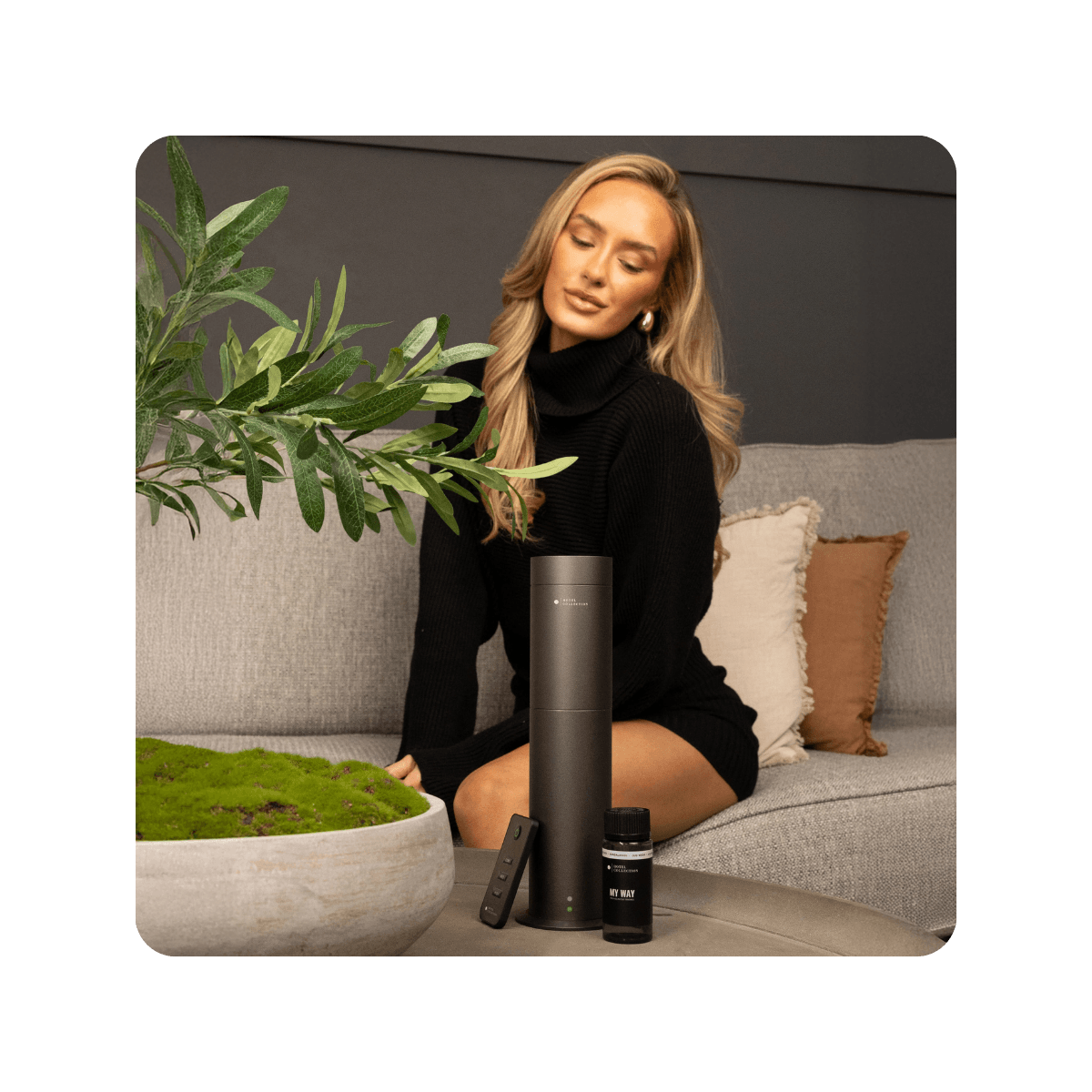 Who are Aroma360 and Hotel Collection?