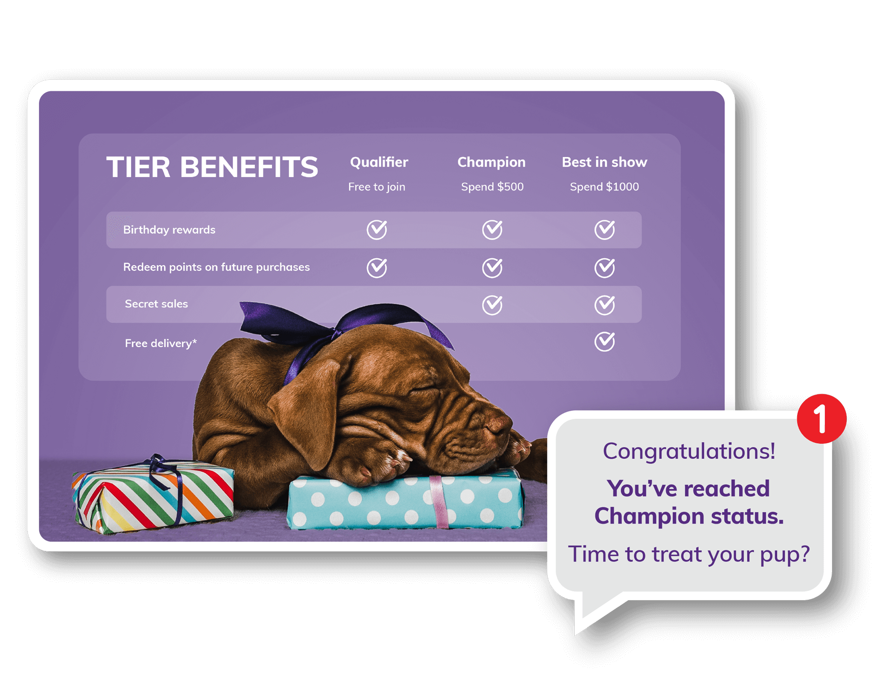 LoyaltyLion rules and automation powering a VIP subscriber tier