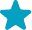 A small turquoise five-point star symbol on a transparent background, used as a visual marker for achievement or emphasis in the EdAtlas design.