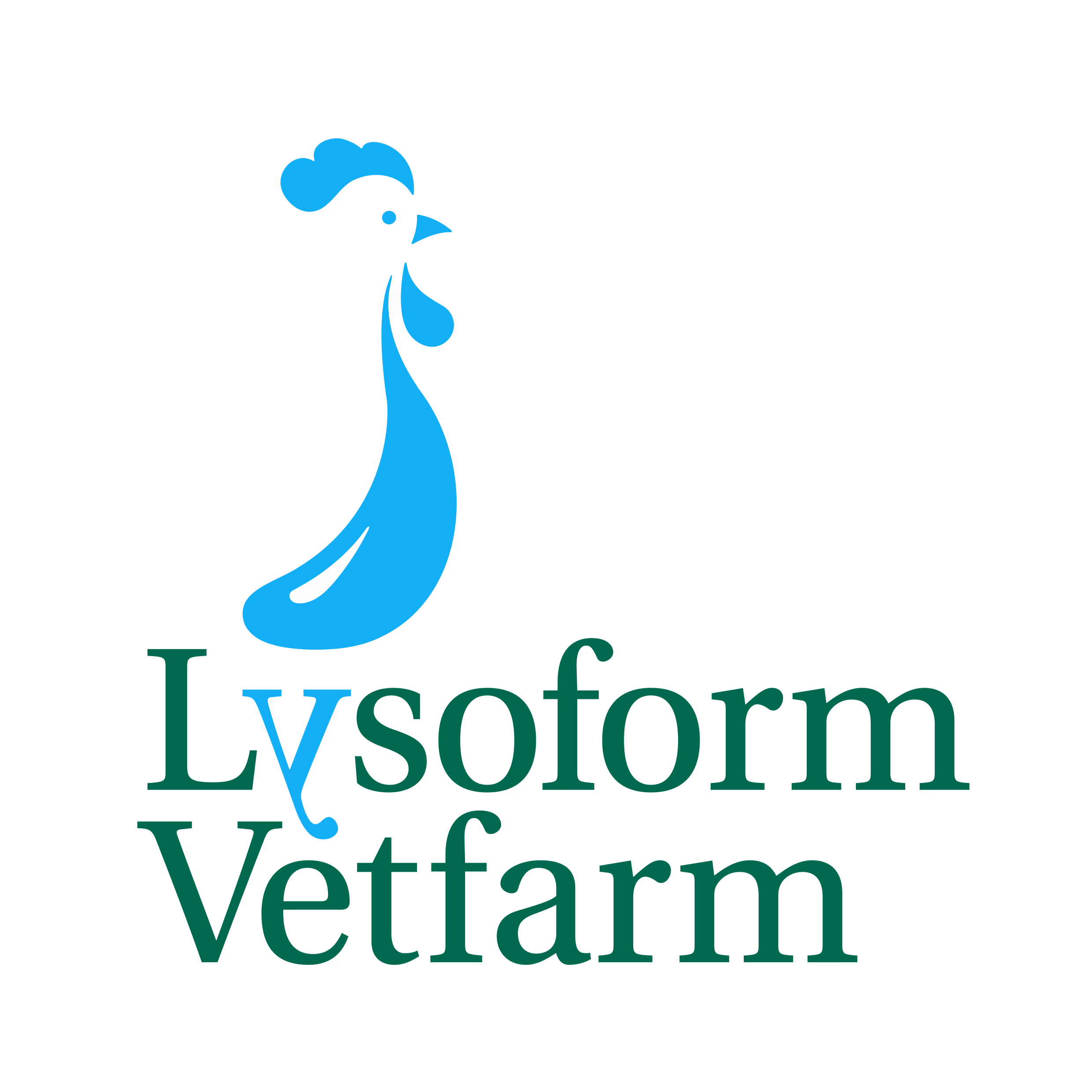 Jörg-Nicolas Rödger, Managing Director, Lysoform Vetfarm GmbH