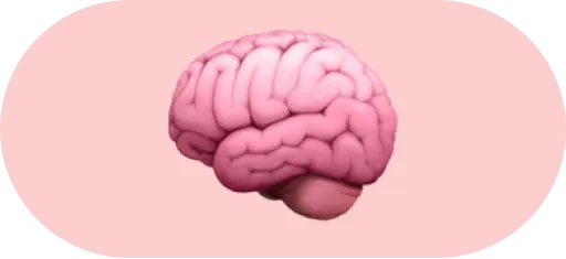 Brain