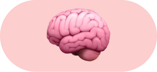 Brain