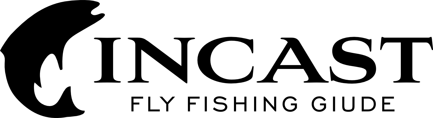 Incast Fly Fishing Club logo with stylized fish hook icon on the left.
