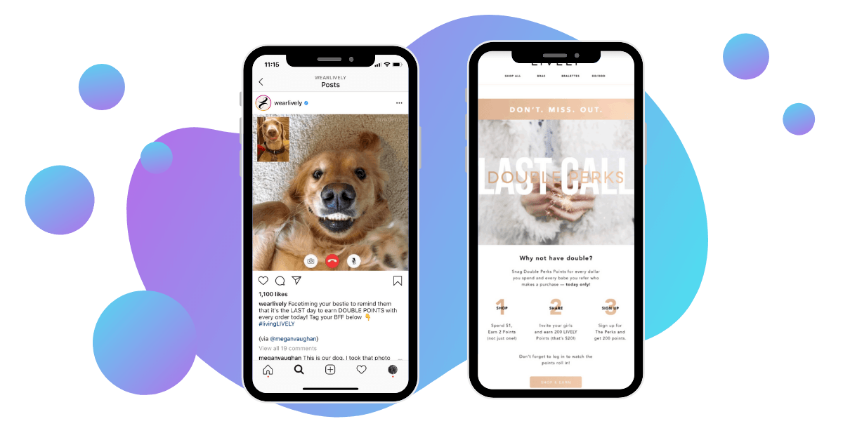Lively Loyaltylion Promotion
