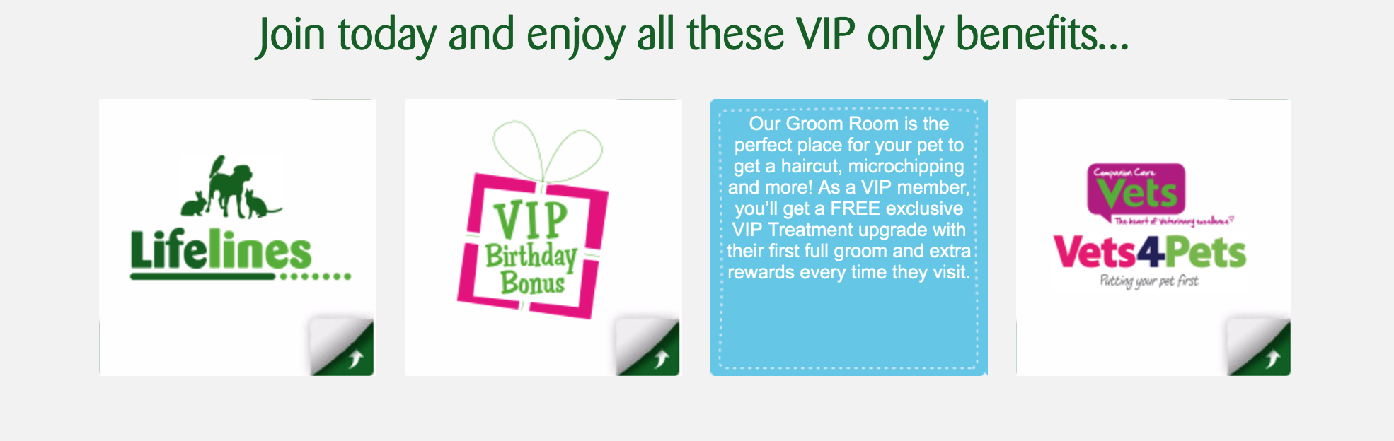 pet loyalty program