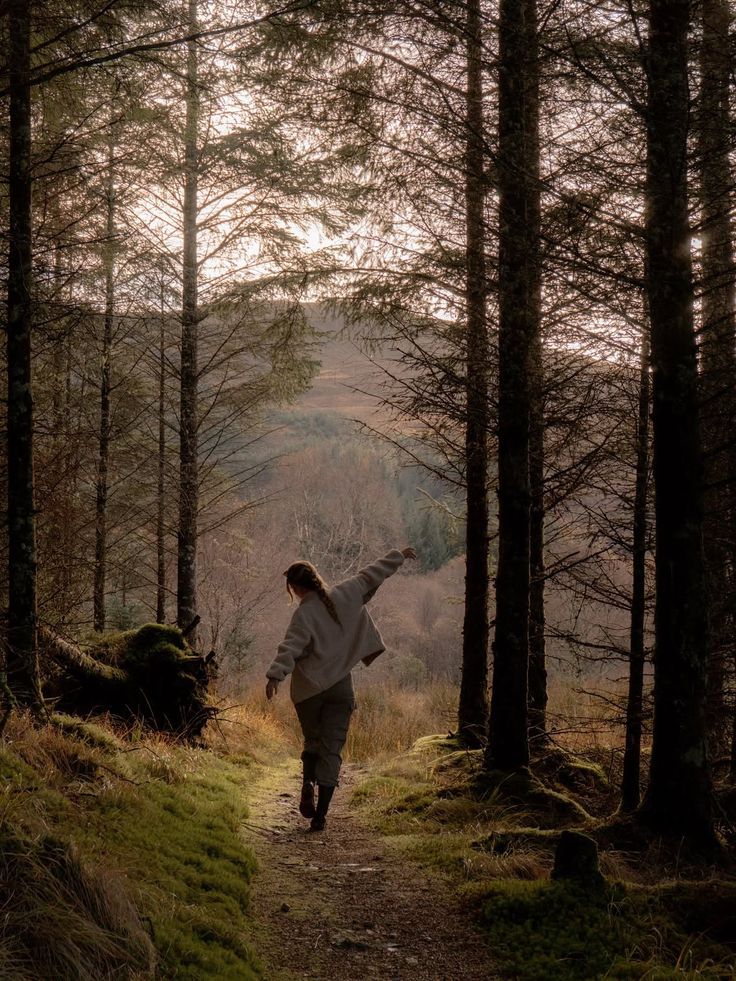 Person walking on a forest path surrounded by tall trees and moss in soft sunlight.