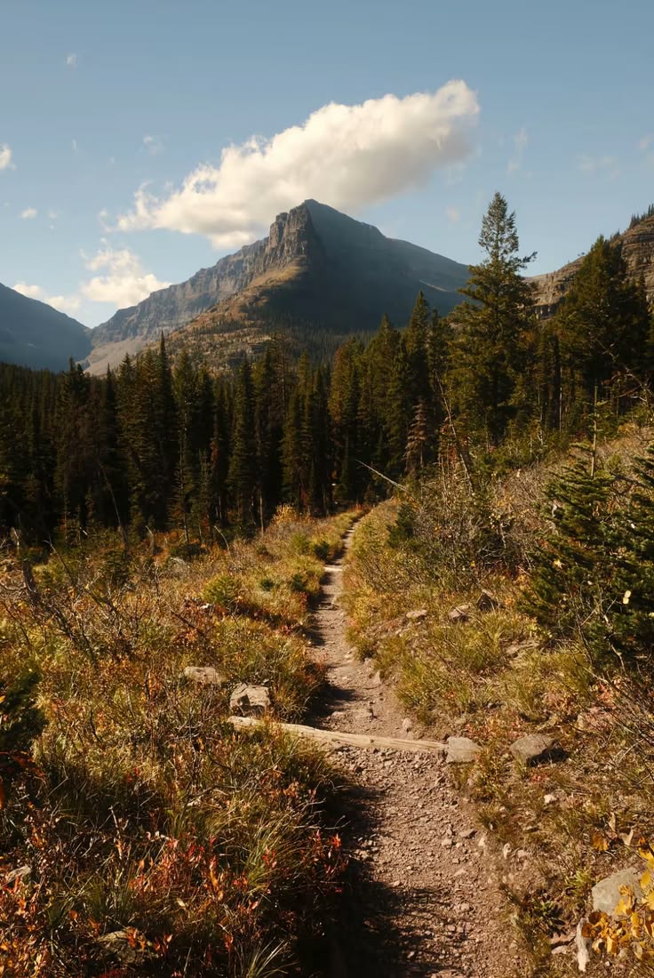 Dirt trail winds through a forest with pine trees toward a rocky mountain under a cloudy sky.