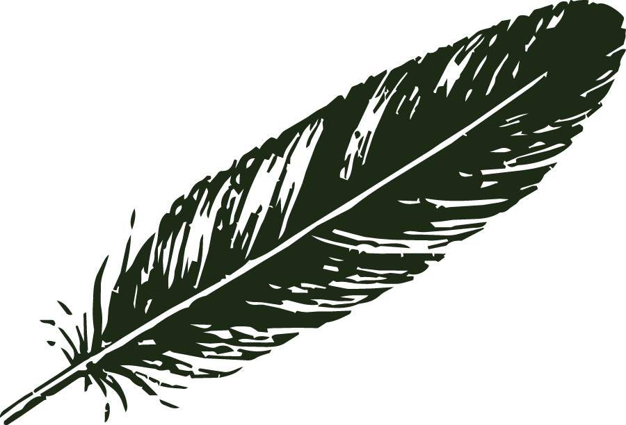 Dark green detailed illustration of a single bird feather facing right.