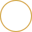 White checkmark inside a gold circle on a black background.