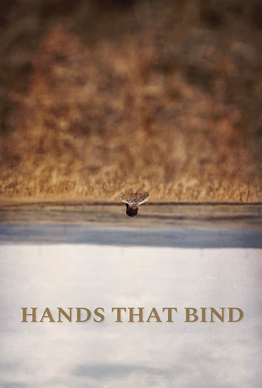 Hands That Bind poster