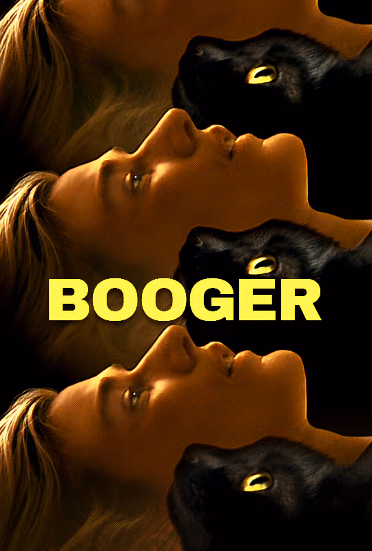 Booger poster