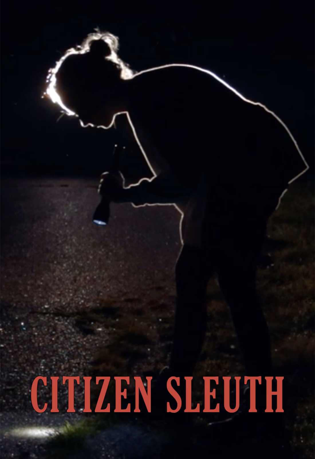 CITIZEN SLEUTH poster