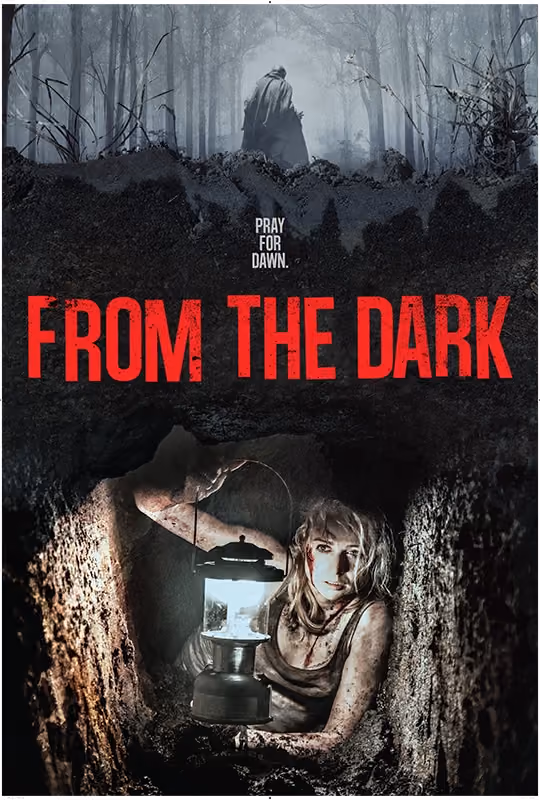 From The Dark poster