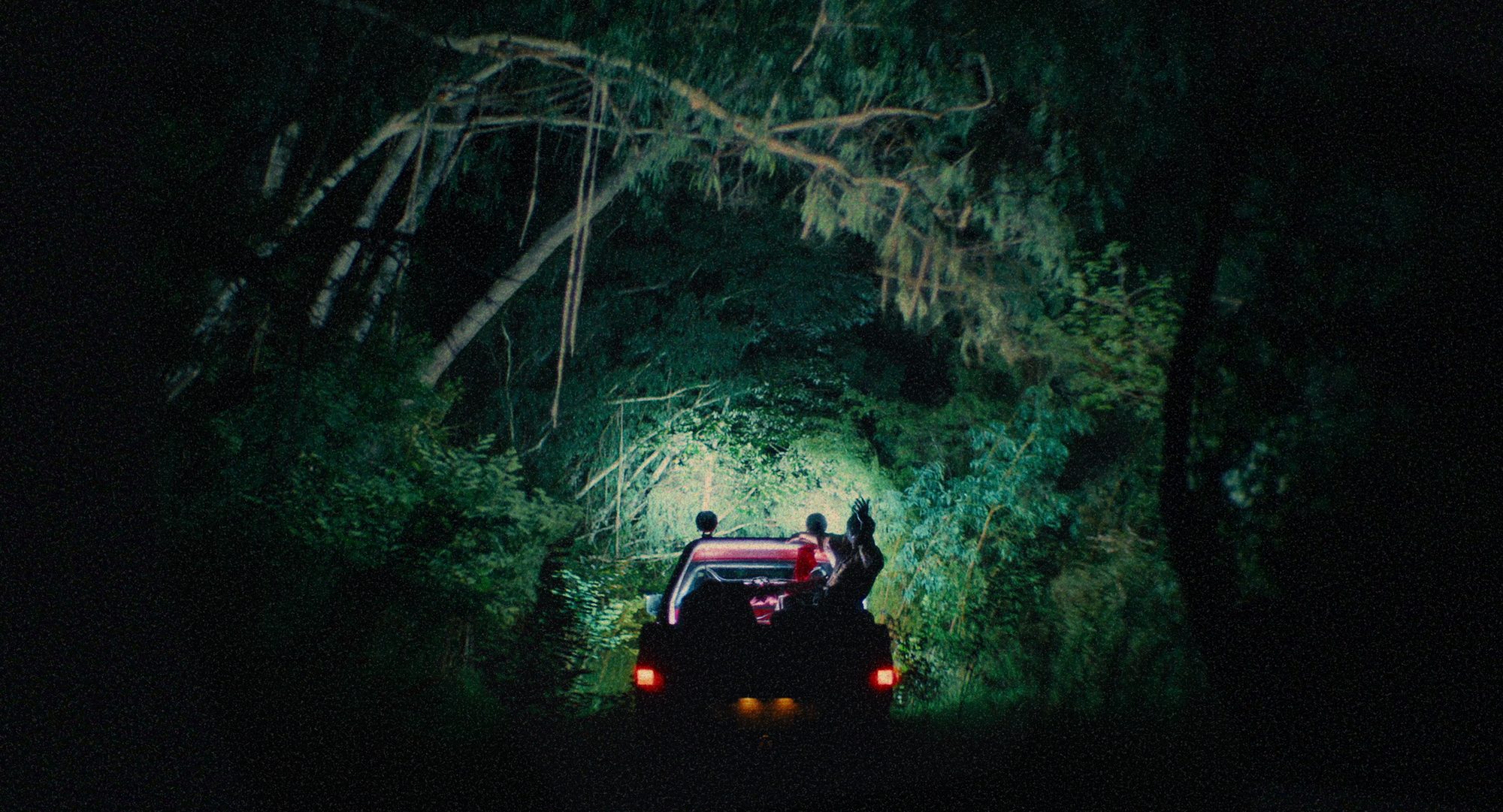 Still from BIRDEATER