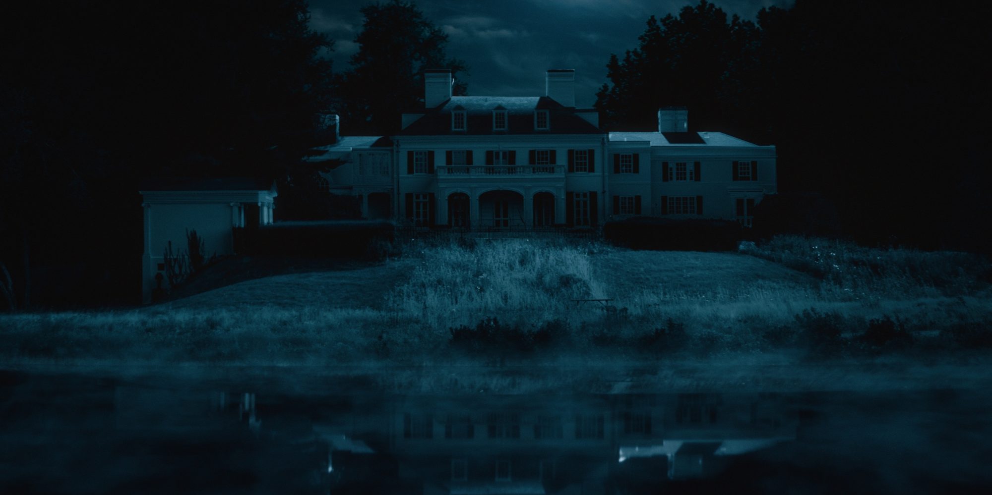 Still from The Arborist