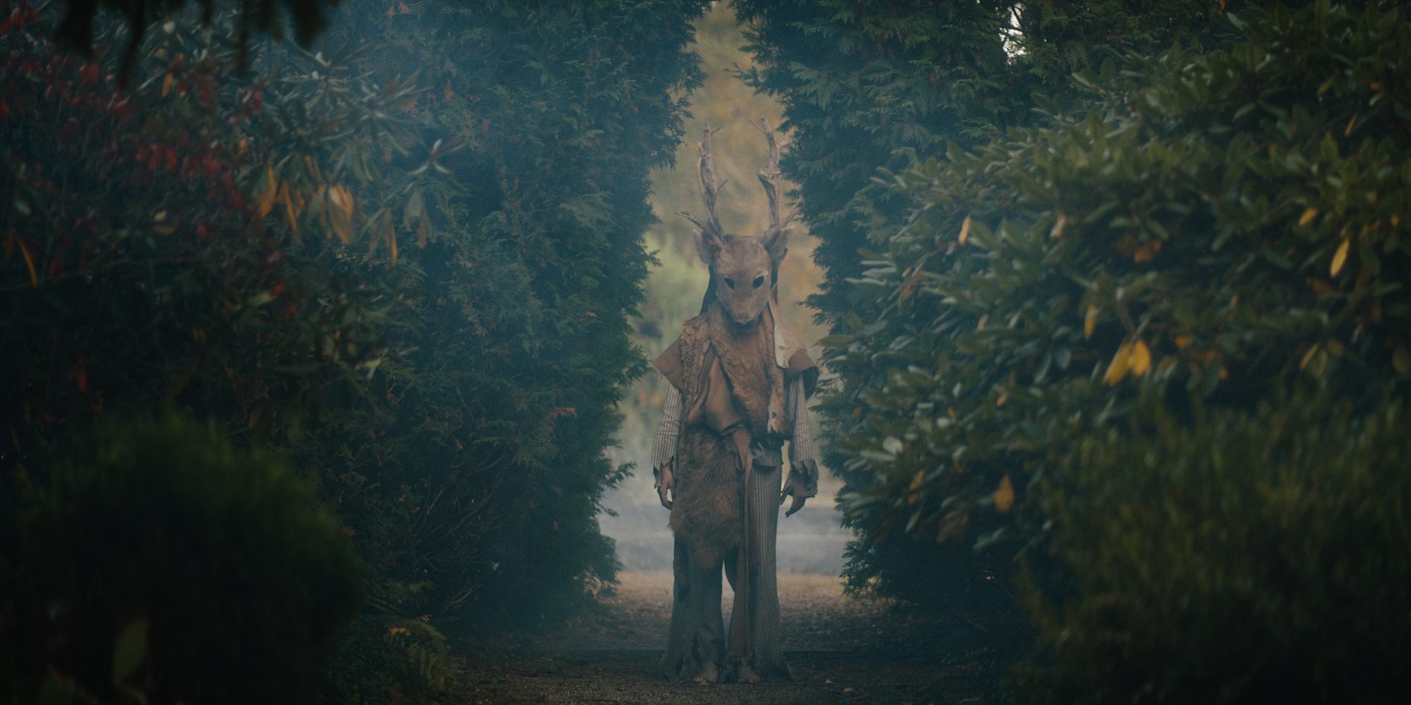 Still from The Arborist