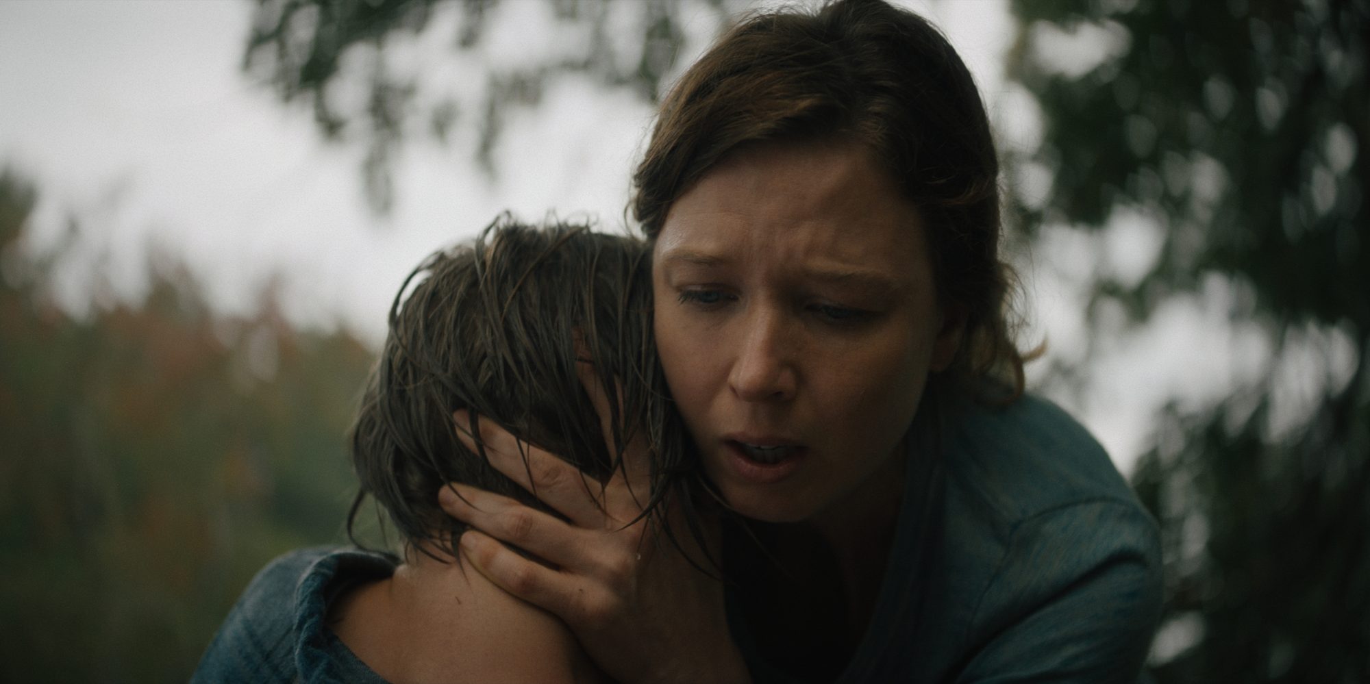 Still from The Arborist