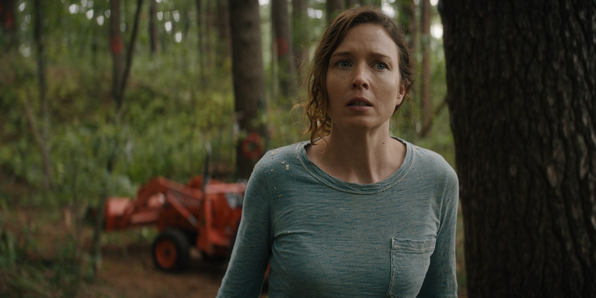 Still from The Arborist