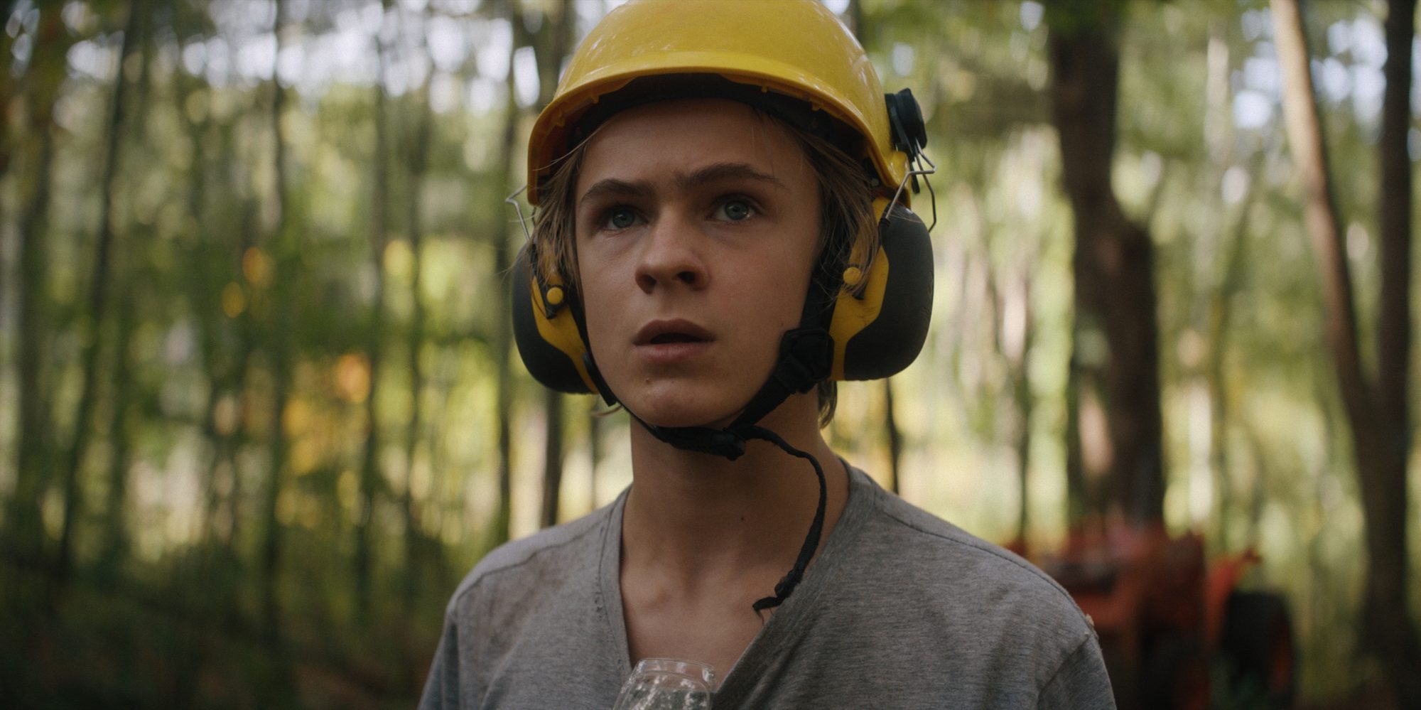 Still from The Arborist