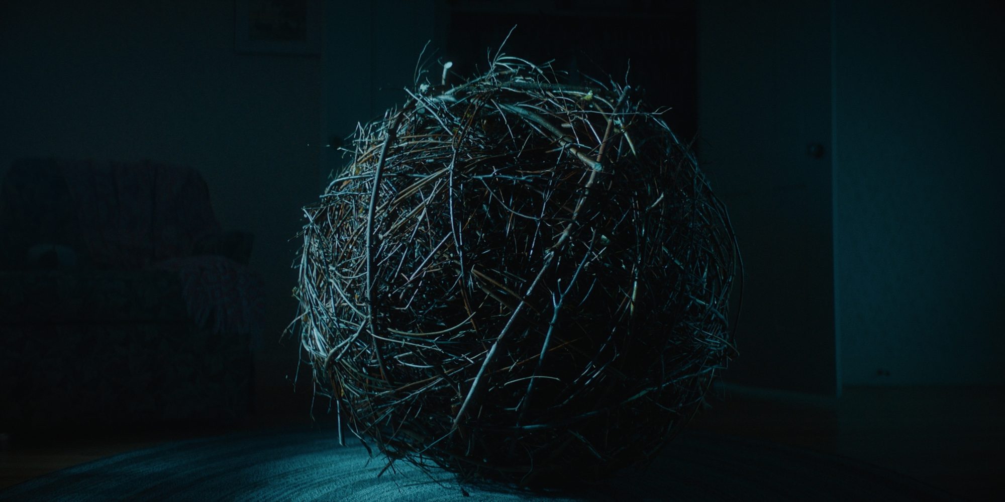 Still from The Arborist