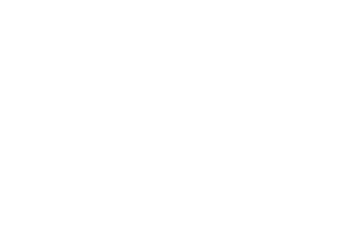 Mórbido Film Fest Official Selection laurel