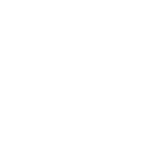 Reykjavík International Film Festival Official Selection 2024 laurel