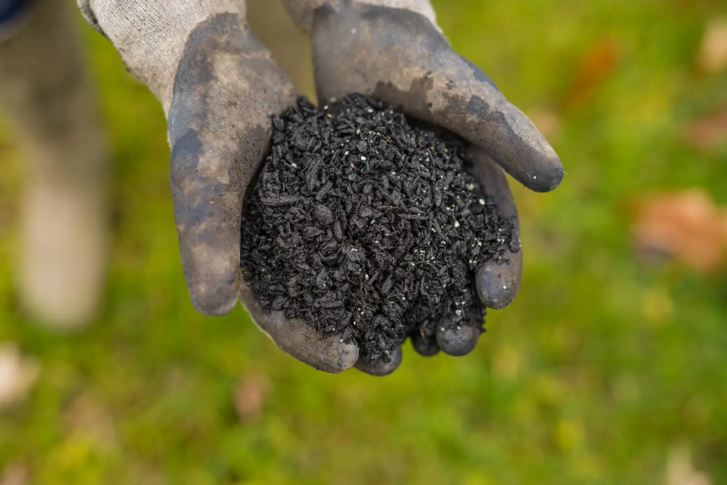 Biochar.