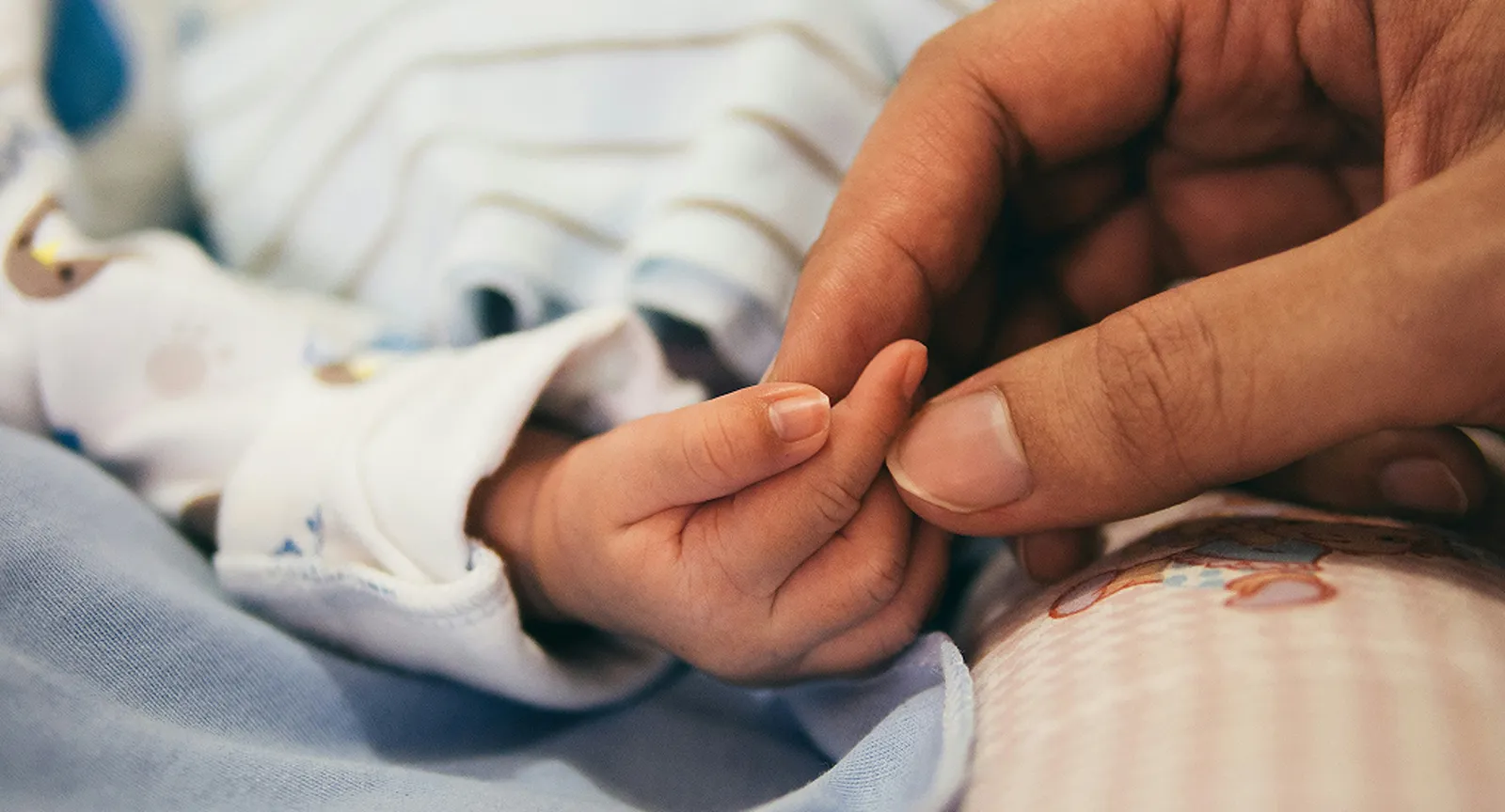 Close-up of an adult's hand gently holding a newborn baby's hand.