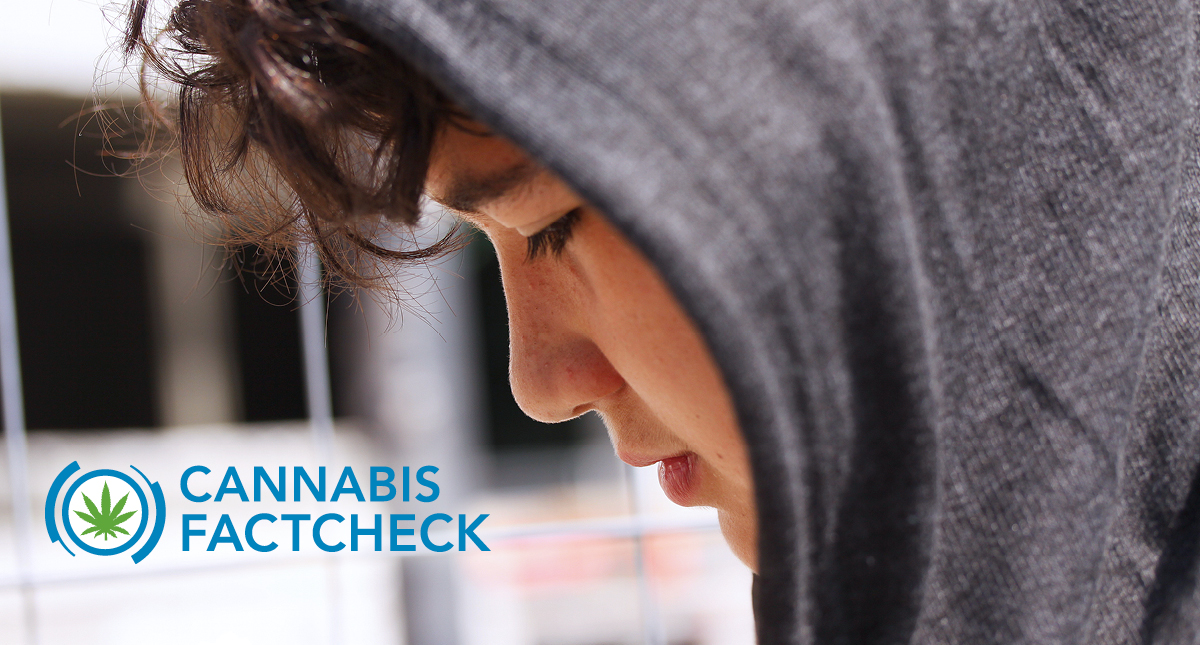 Marijuana FactCheck Logo