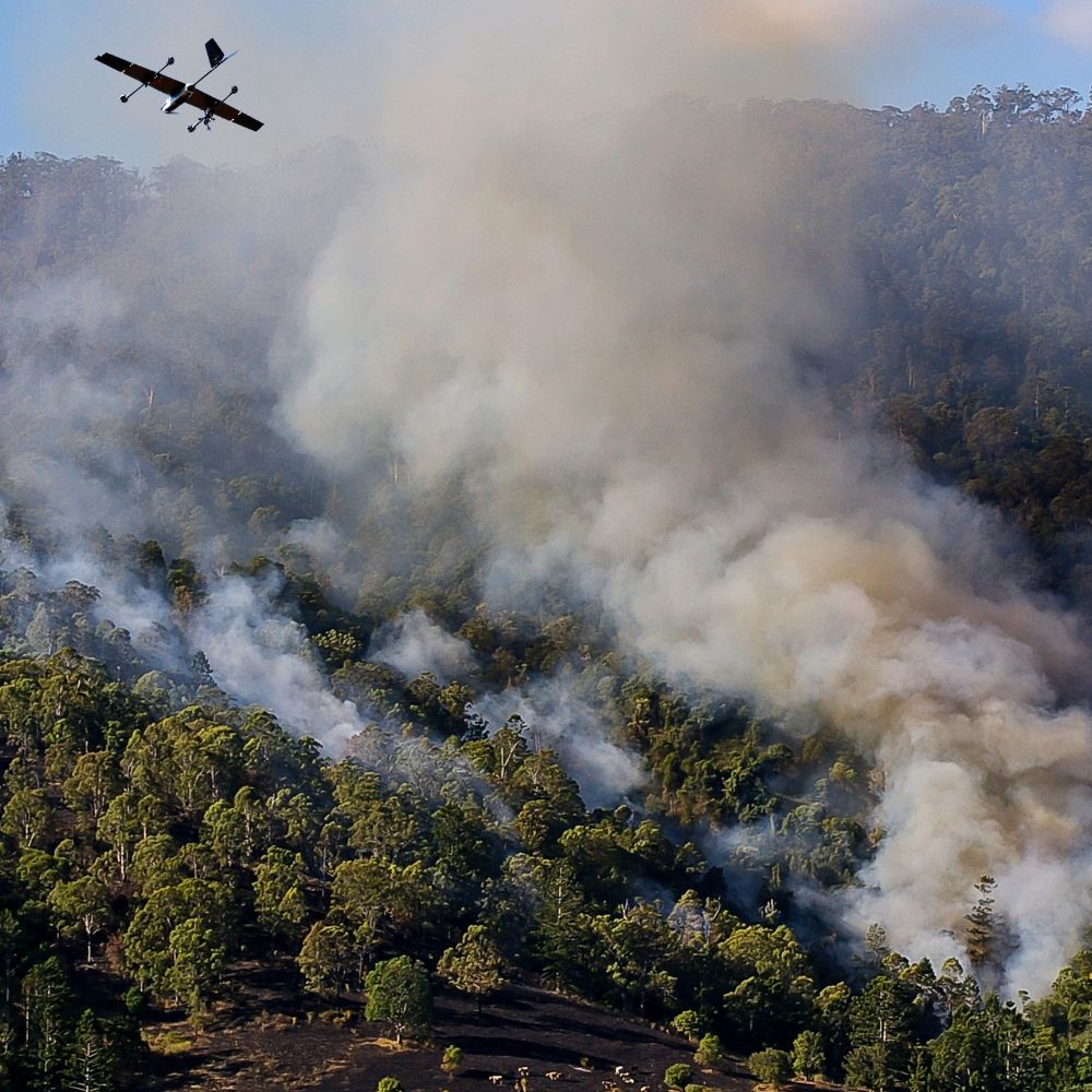 Drone flying over forest fire with thick smoke rising above green trees and burned ground.