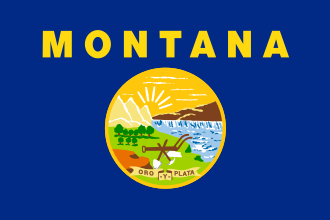 Montana state flag with a blue field, yellow text, and state seal featuring mountains and a river.