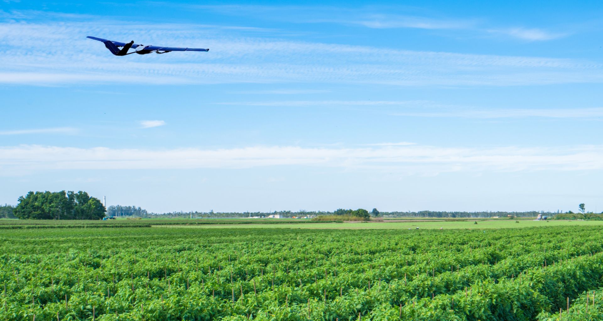 Blue drone flying over a large green agricultural field under a clear blue sky.