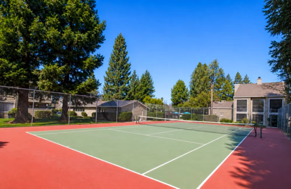 Tennis court