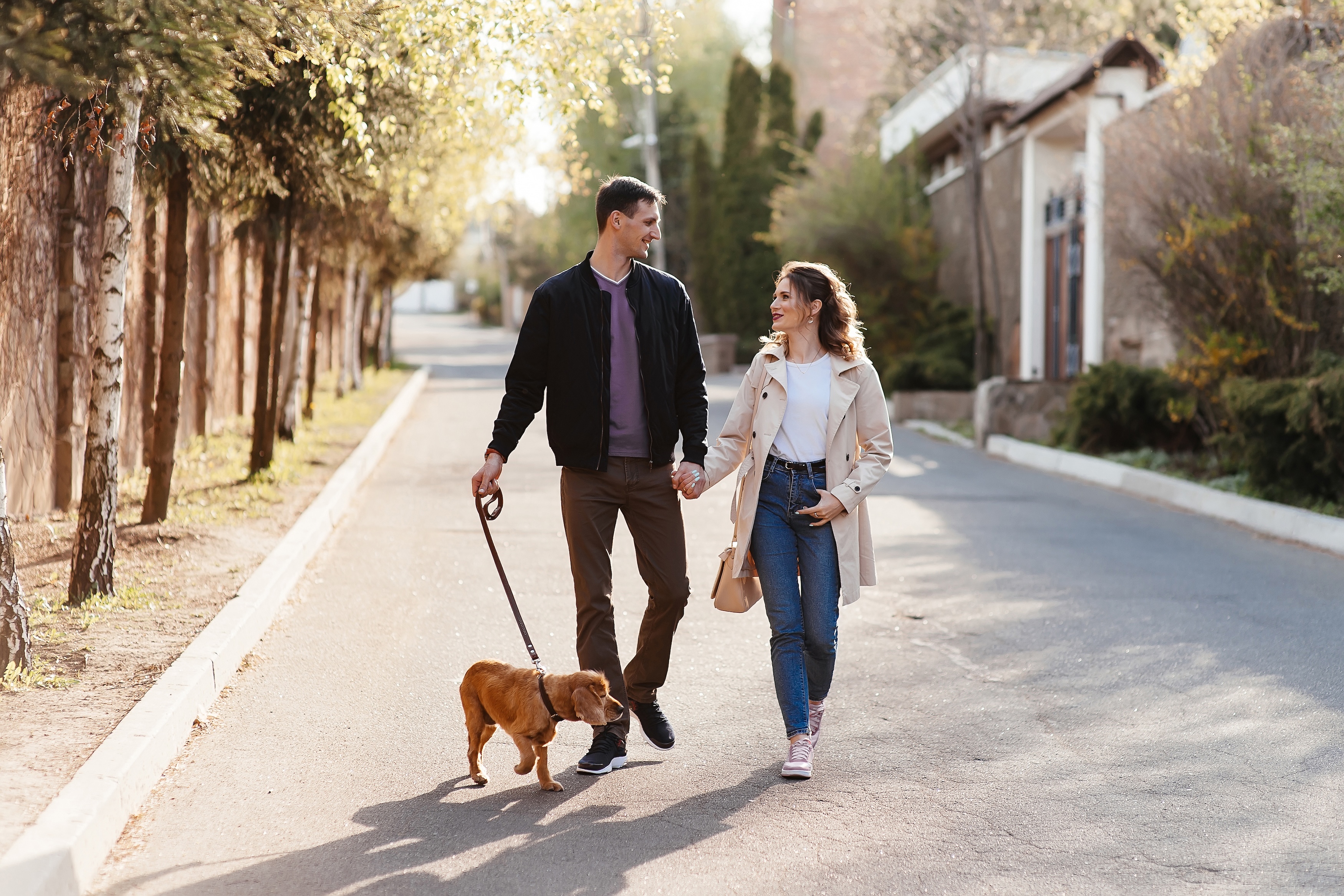 Man and woman walking dog stock image