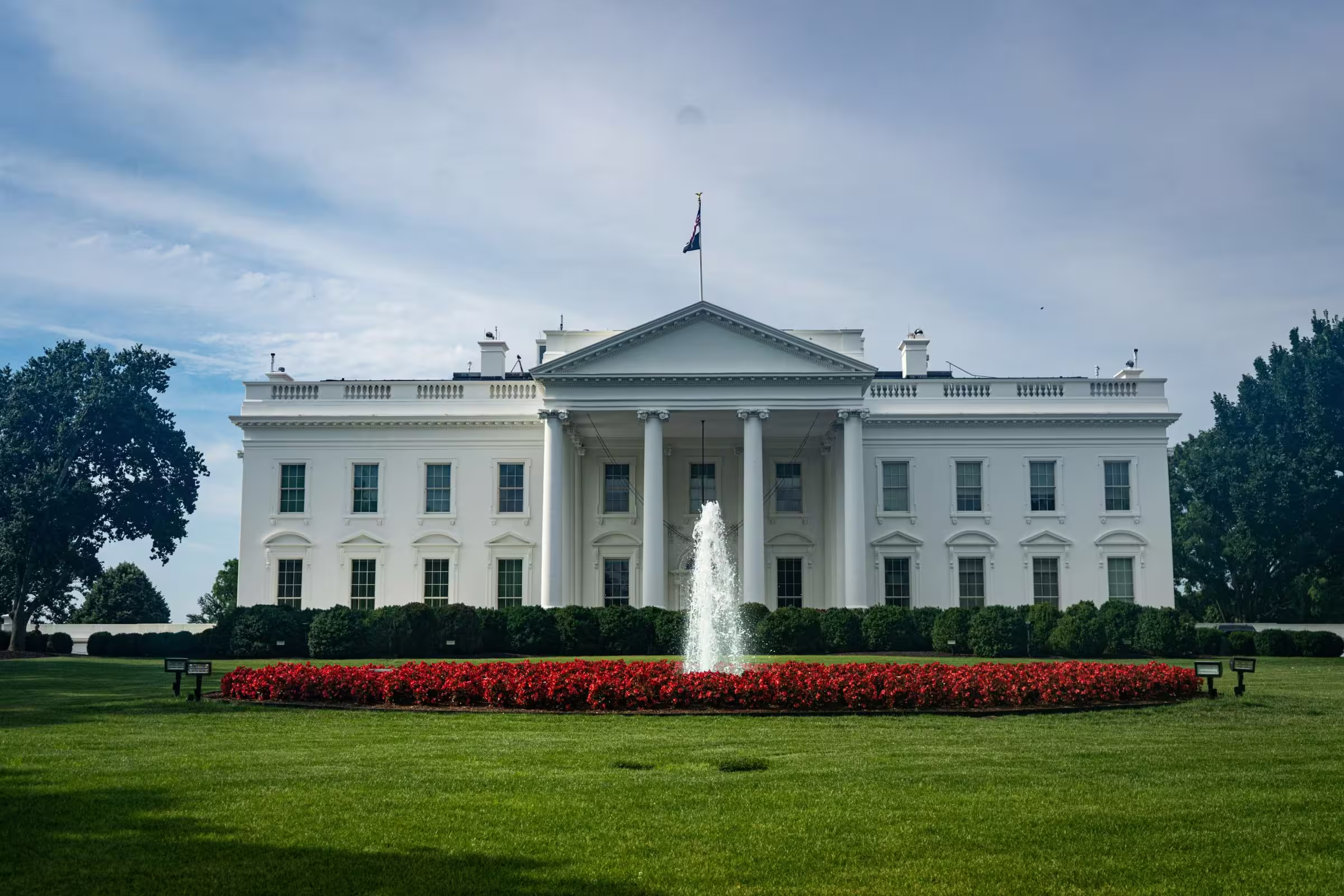Post-election market update: Webinar recap