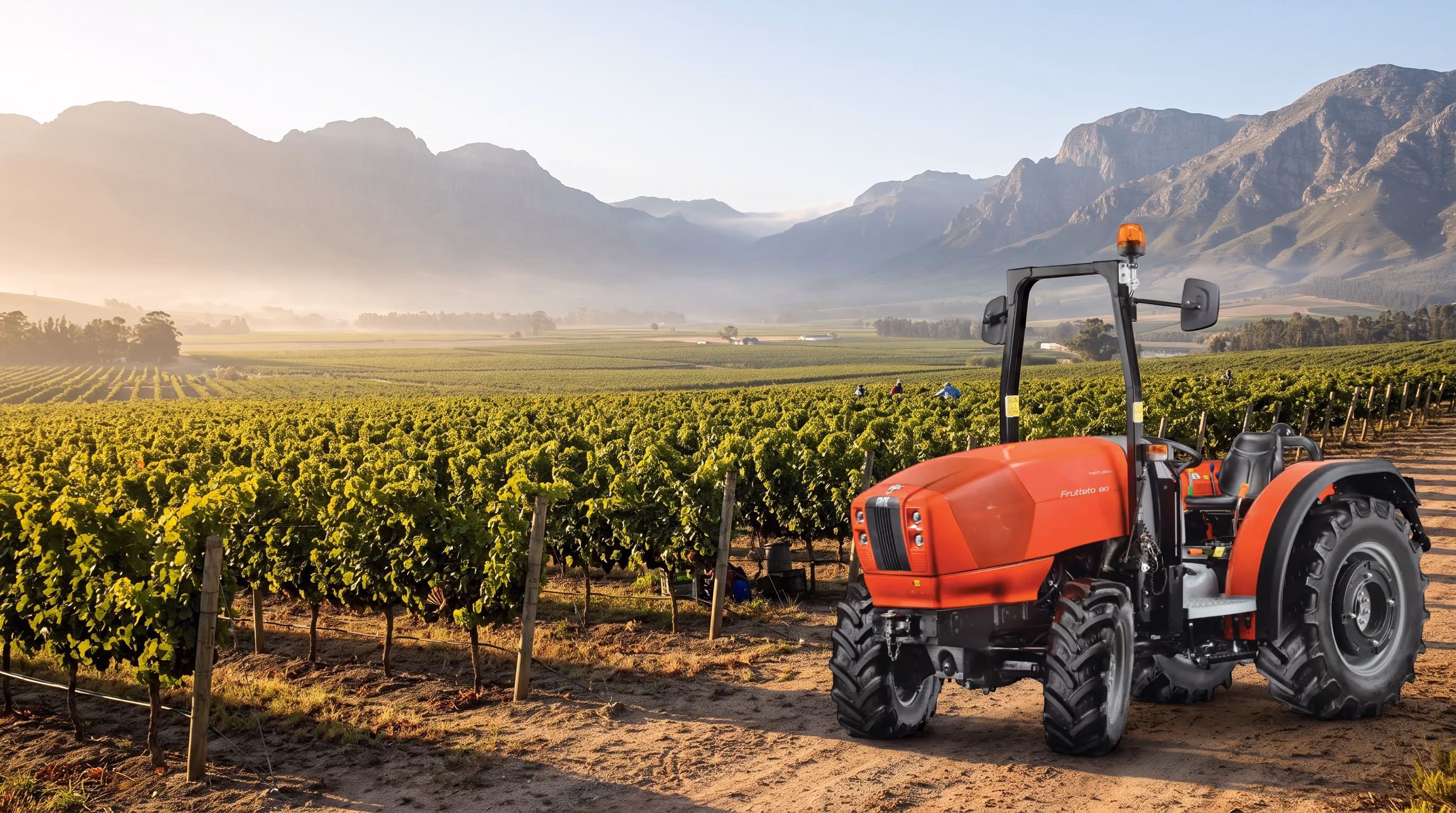 Man driving red tractor on dirt path in vineyard with workers and mountains in background.