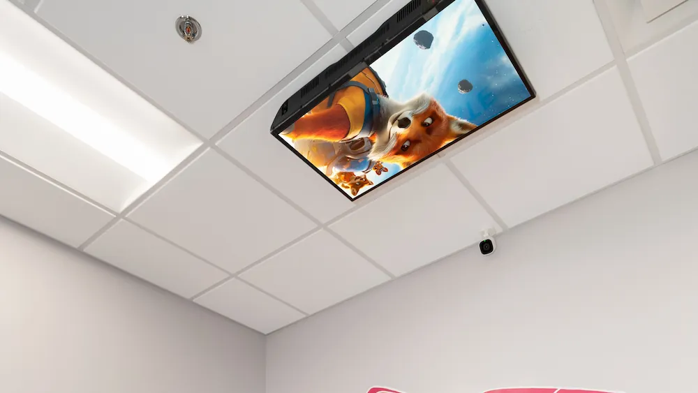 Ceiling-mounted flat screen TV displaying an animated fox character with a blue sky background in a room with drop ceiling tiles and a security camera on the wall.
