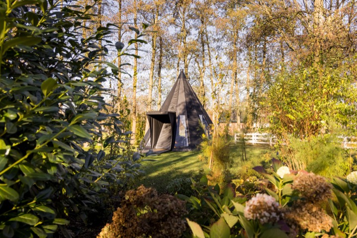 Groene natuur rondom de Blue Bricks campus