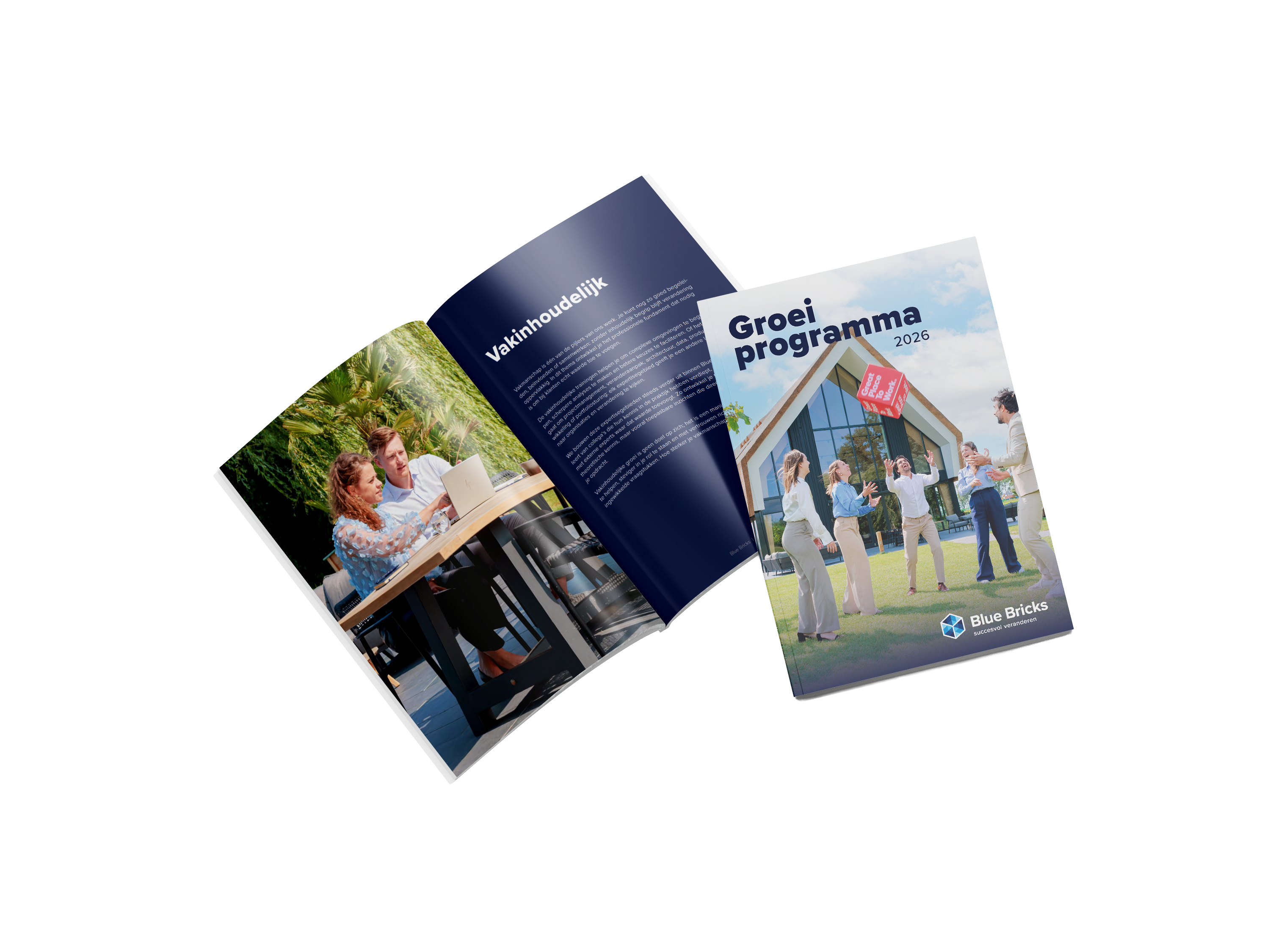 Blue Bricks groeiprogramma brochure