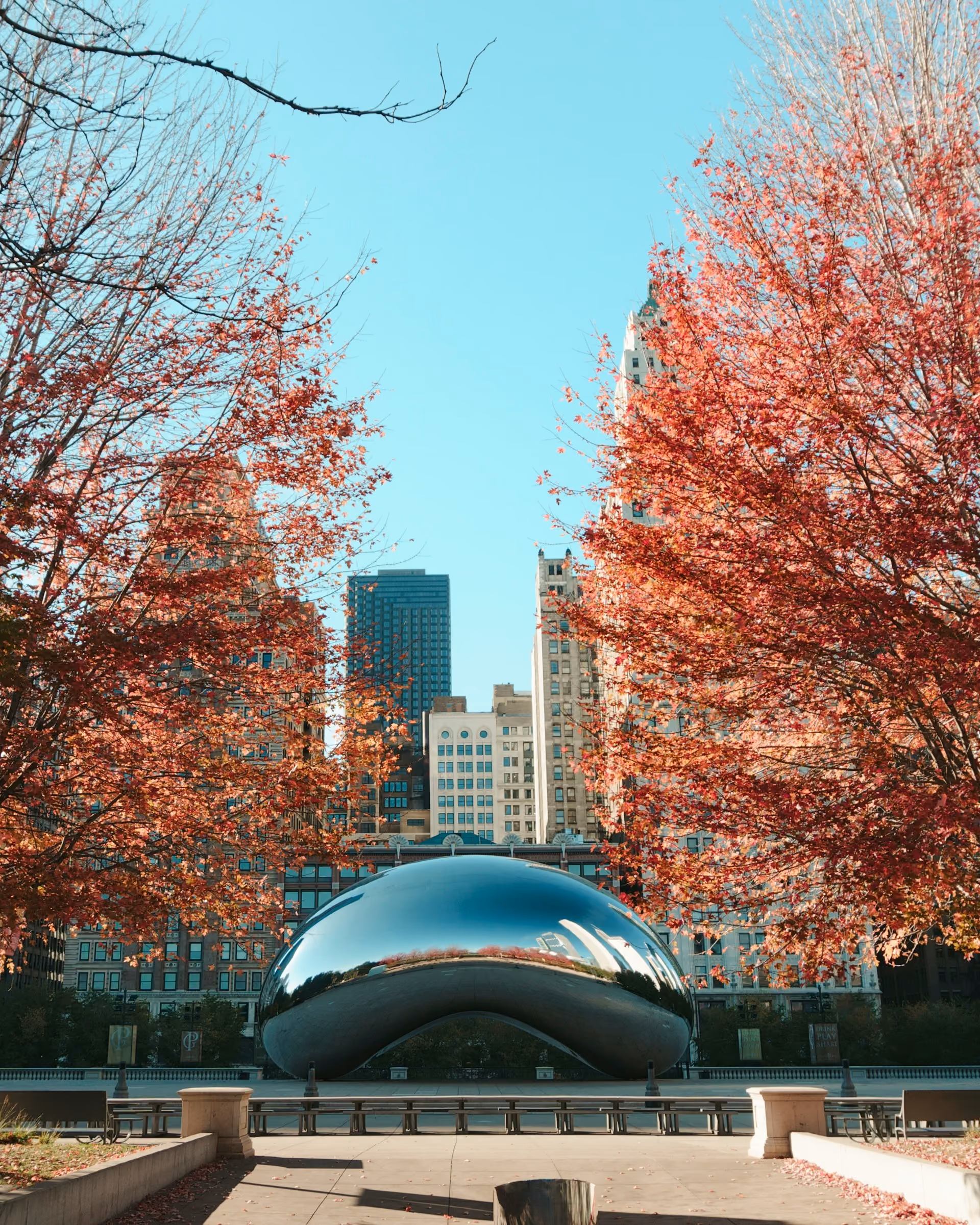 Luxury Chicago Real Estate