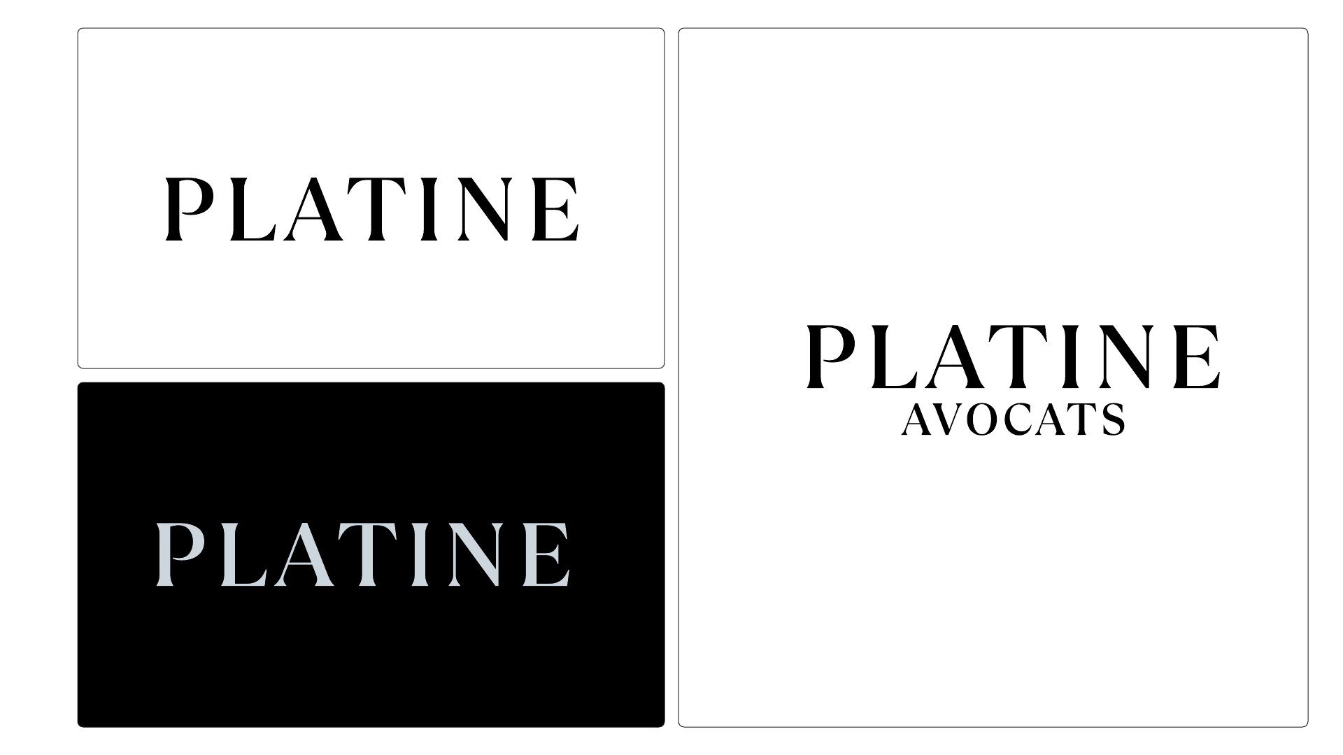 Logotype Platine en encre sur blanc et en blanc sur noir
