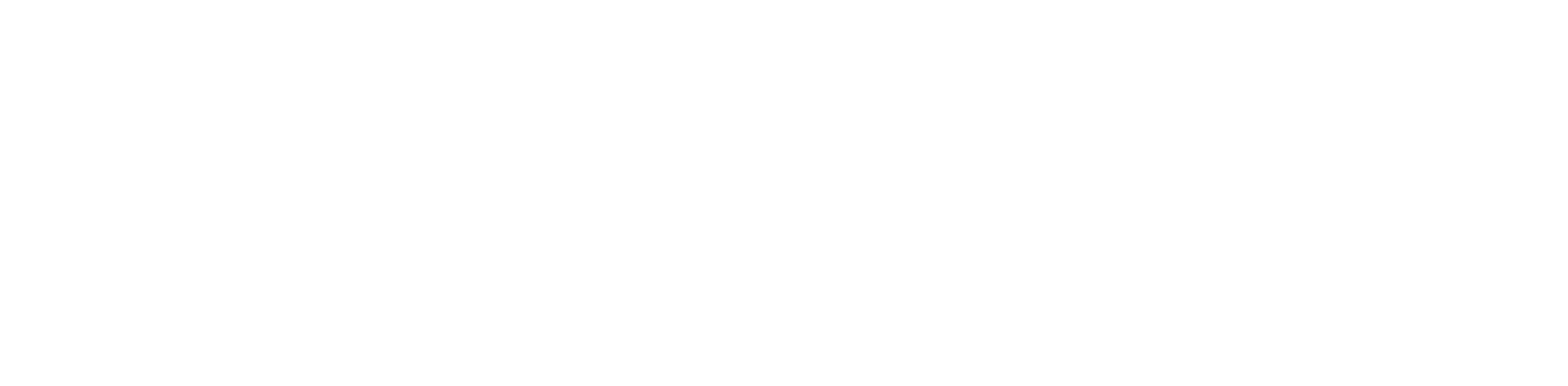 In-Pulse Services
